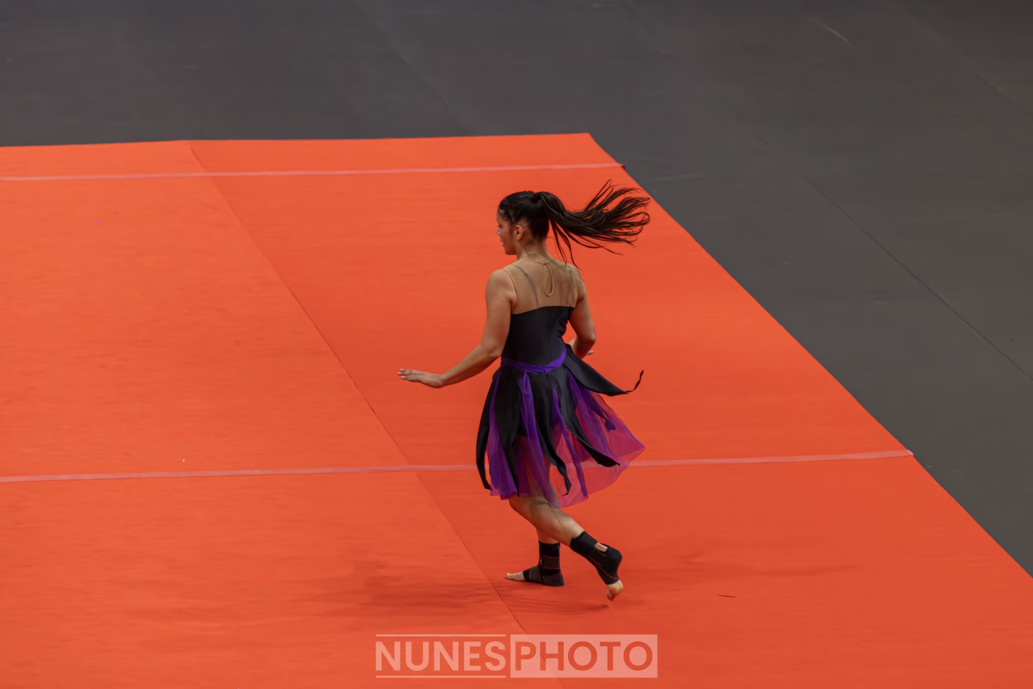 Photo 42